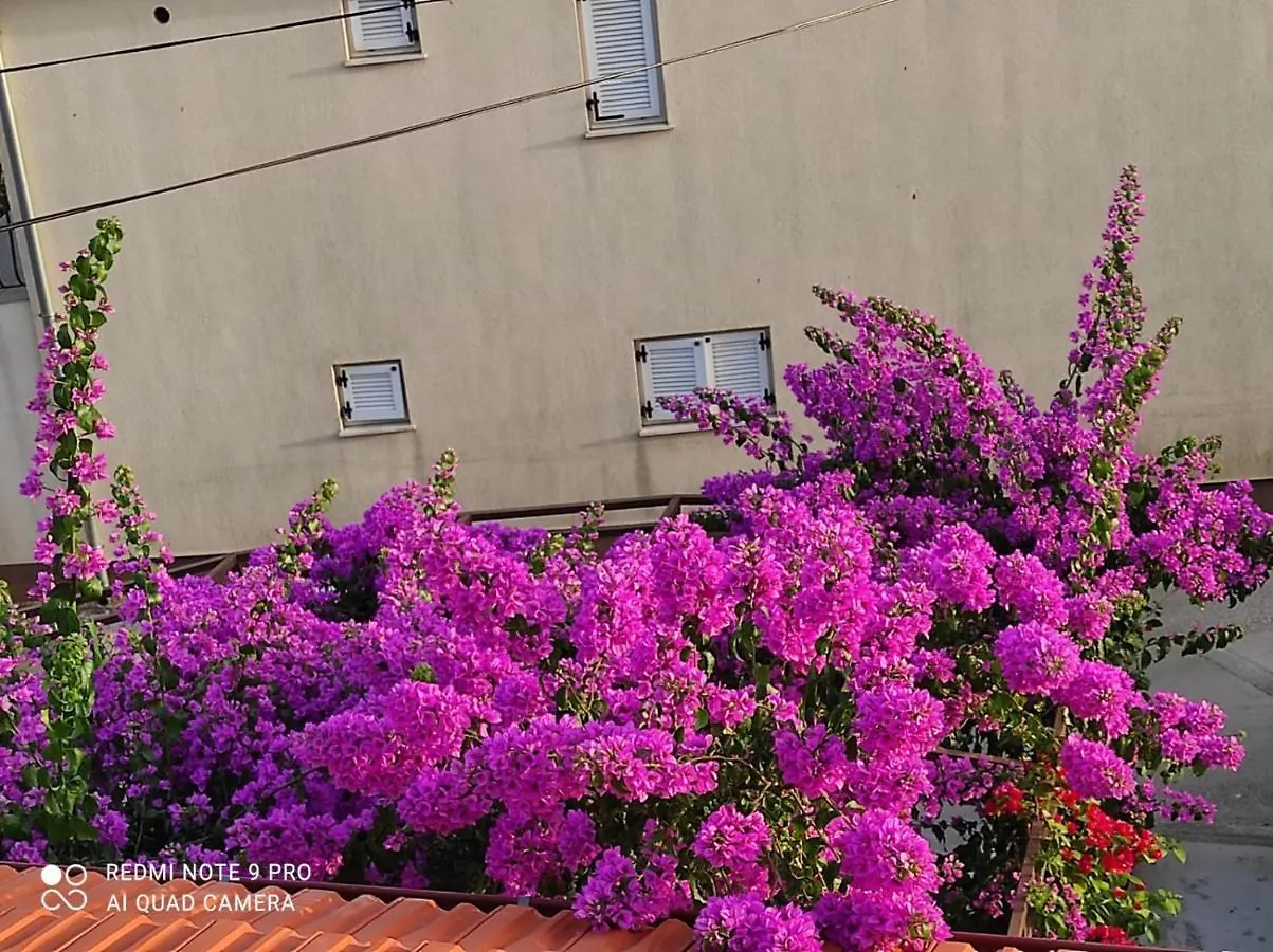 Apartments Iva Pakoštane Chorwacja